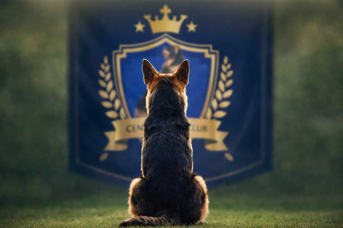 Colegio para perros