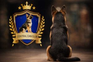 Centro de entrenamiento canino